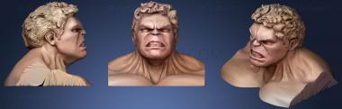 3D model Hulk Bust (STL)